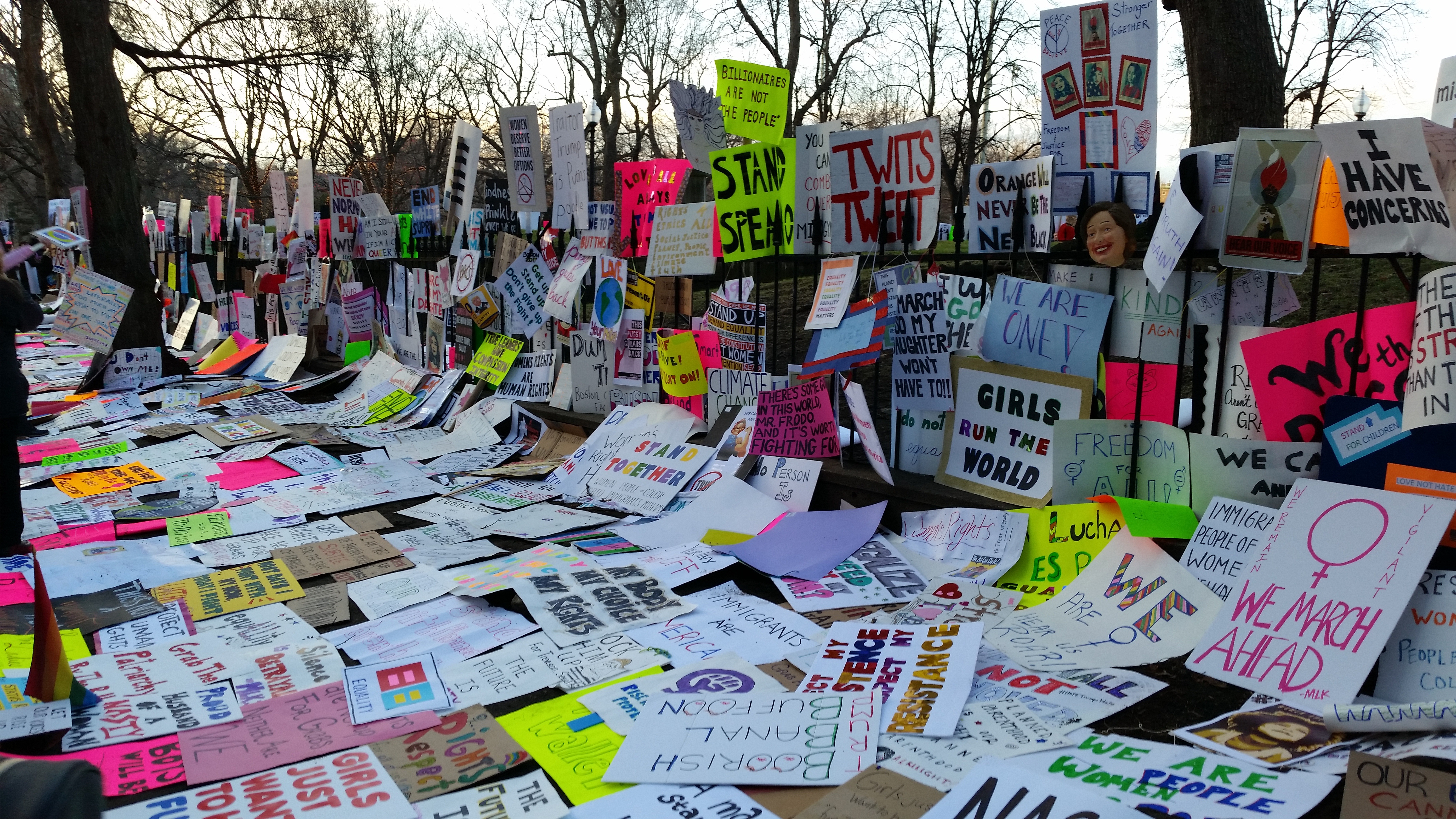 image of protest signs