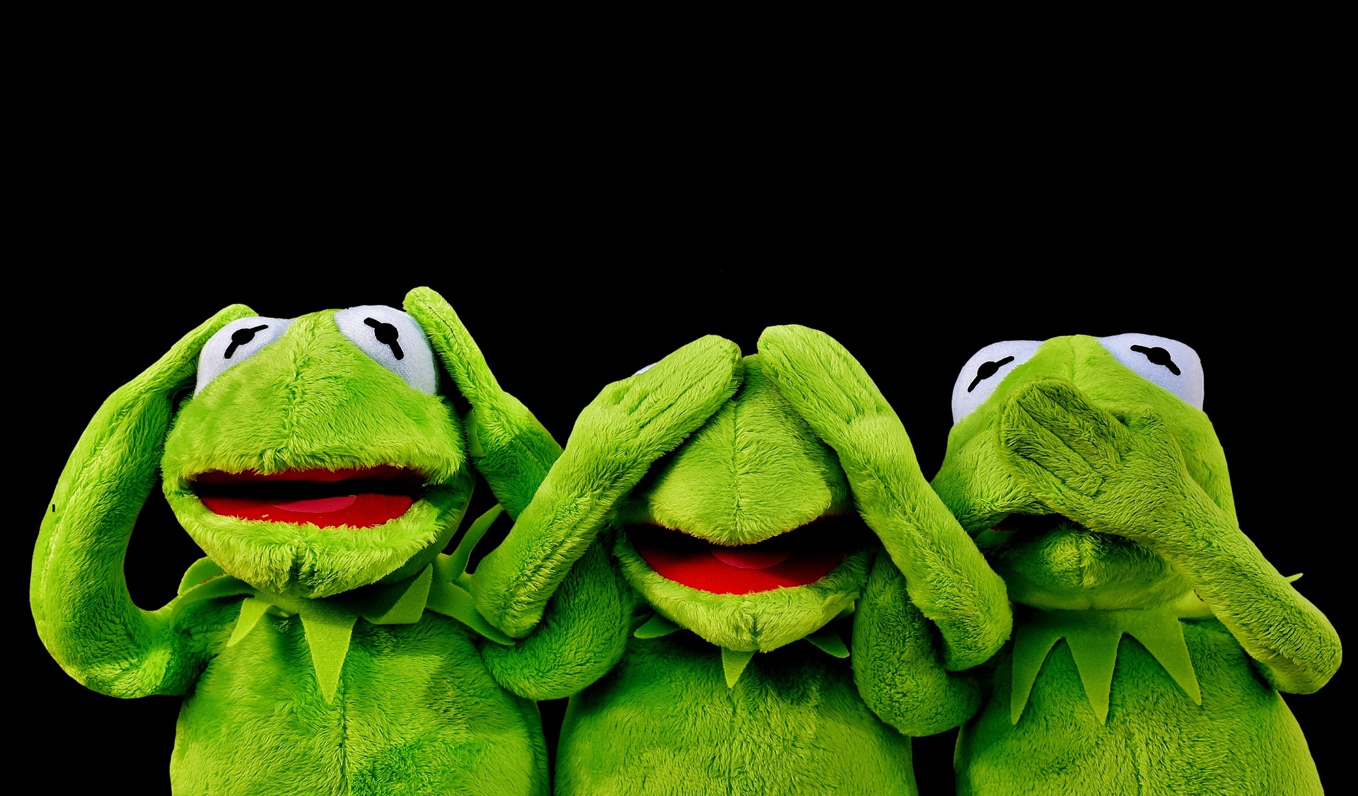 image of three stuffed animals kermit the frog