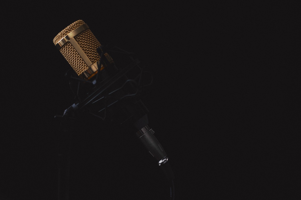 image of silver condenser microphone on black background