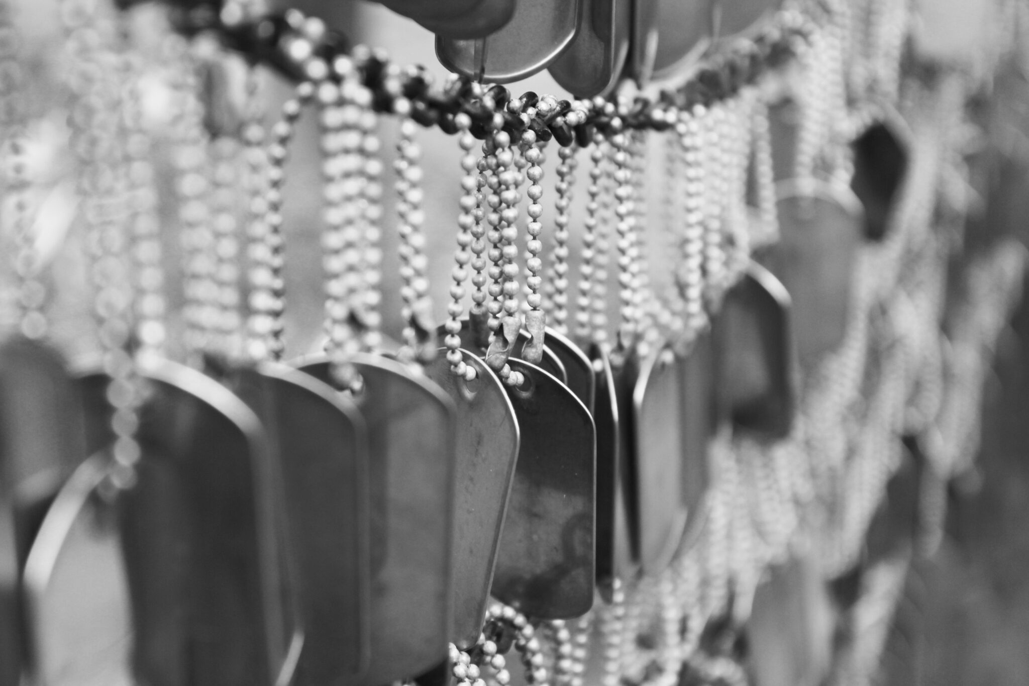 Homepage - Donald Roth